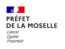 téléchargement